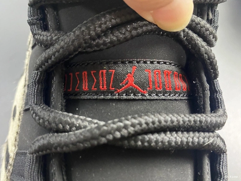 Air AR0715-010 Jordan 11 Animal Instinct 0212